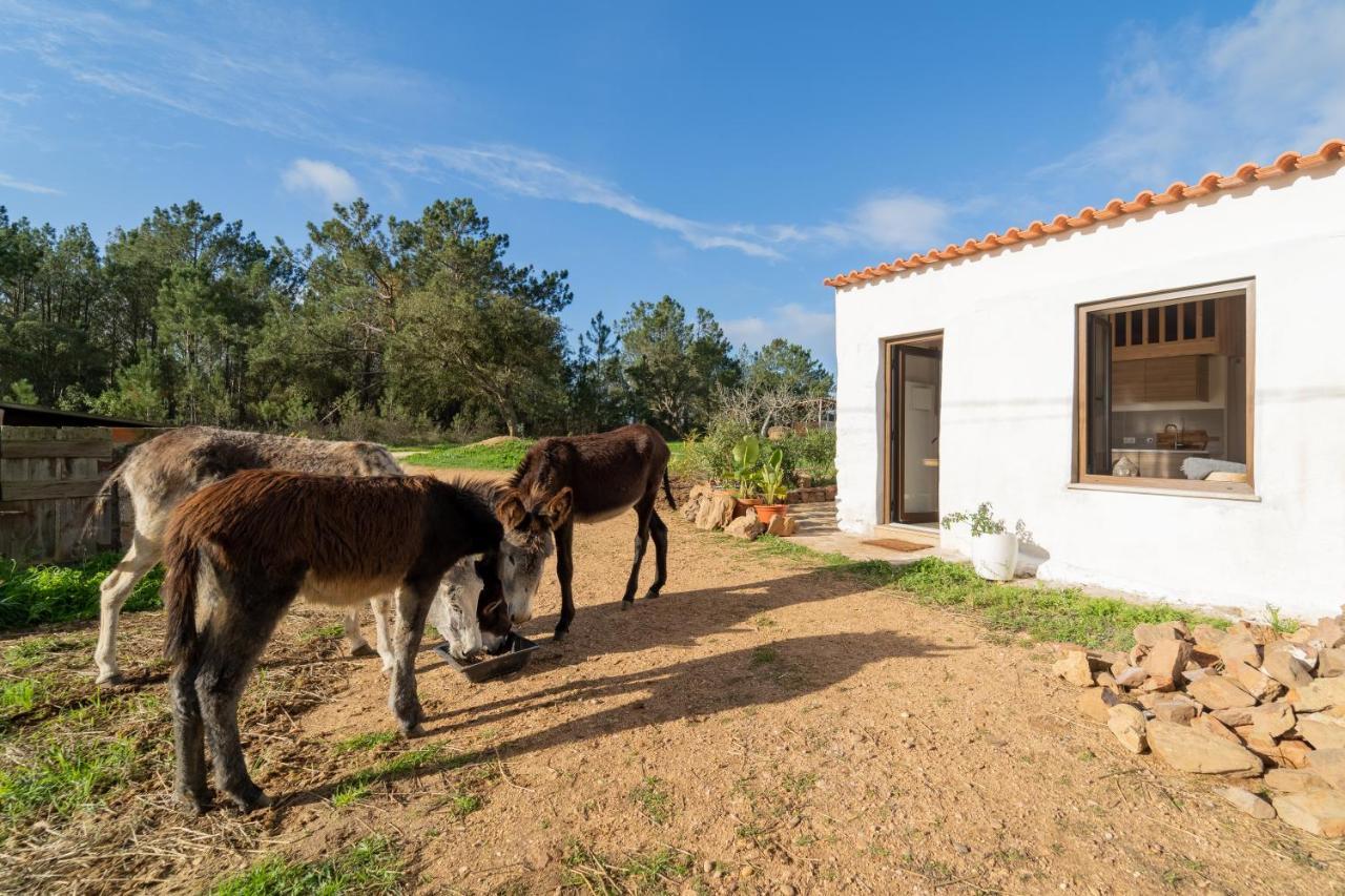 Casa Da Paz Διαμέρισμα Aljezur Εξωτερικό φωτογραφία
