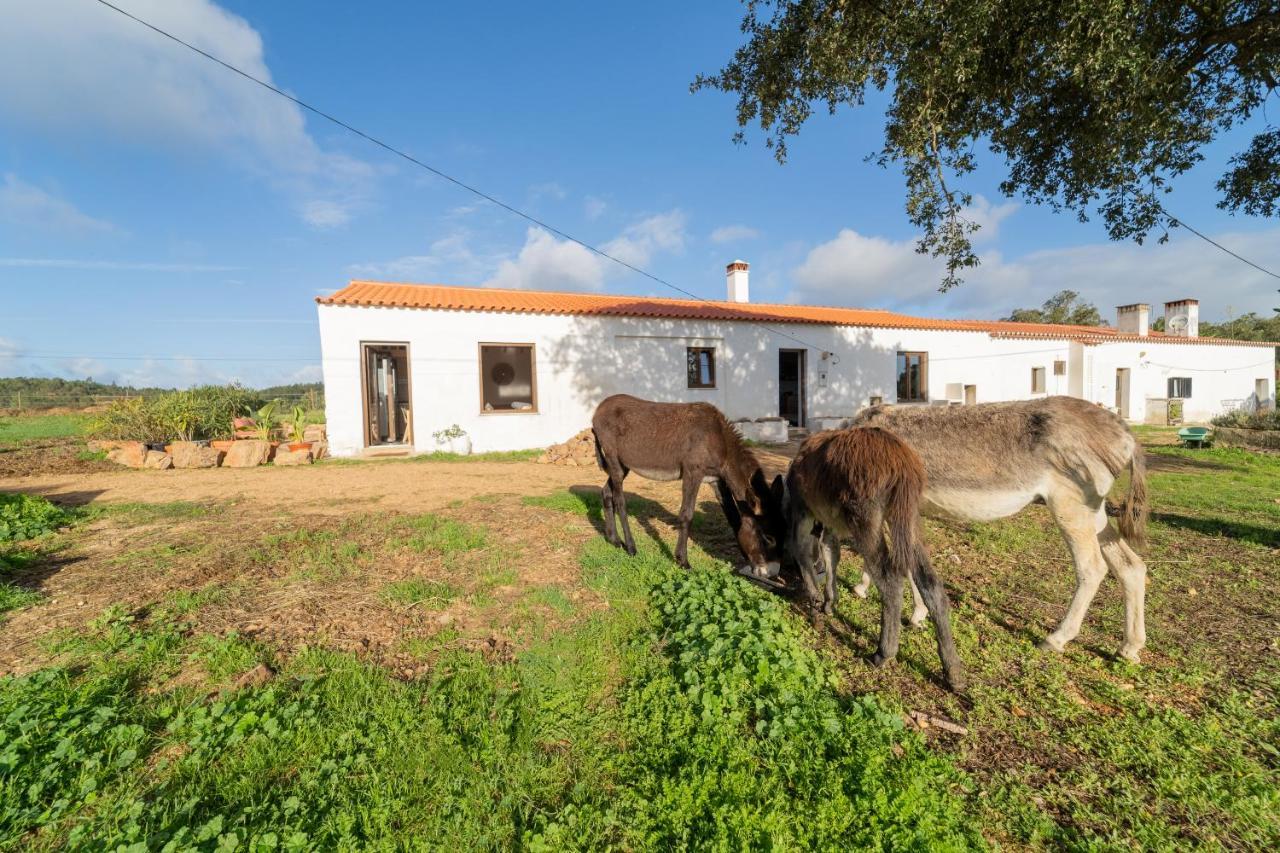 Casa Da Paz Διαμέρισμα Aljezur Εξωτερικό φωτογραφία