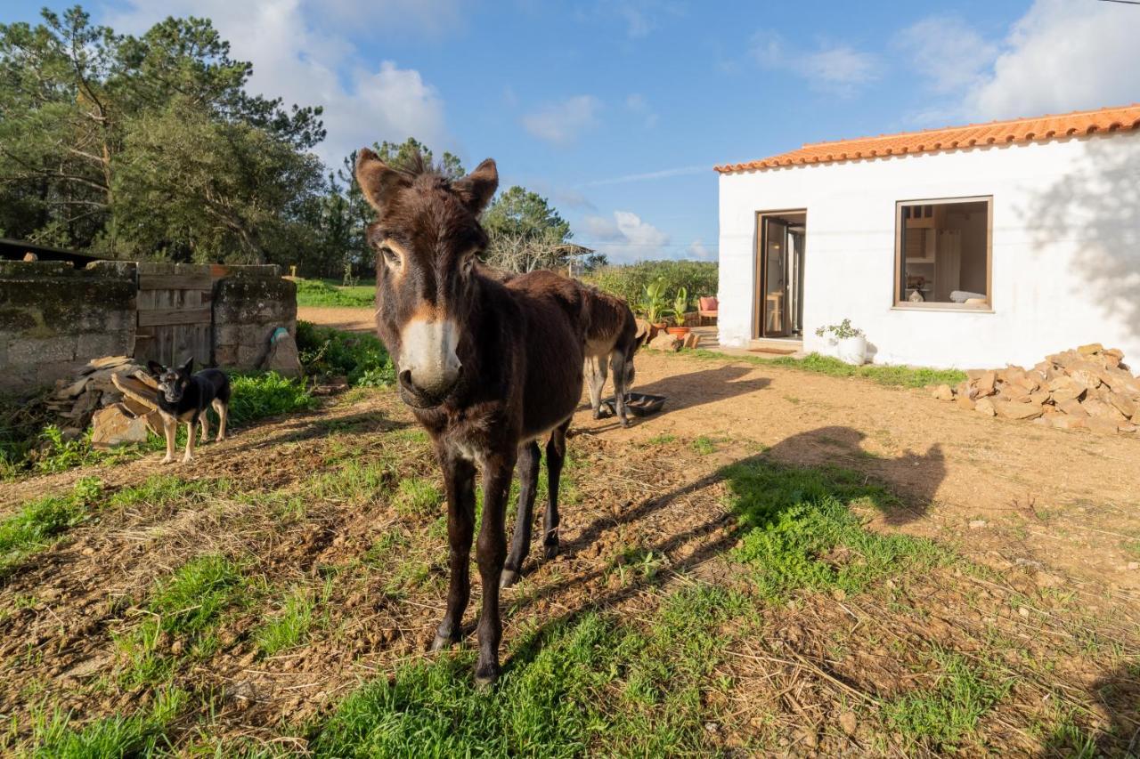 Casa Da Paz Διαμέρισμα Aljezur Εξωτερικό φωτογραφία